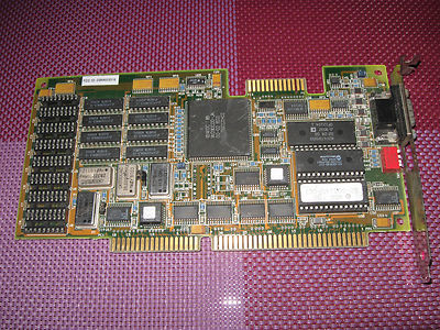 Western Digital 'Paradise' Video Card